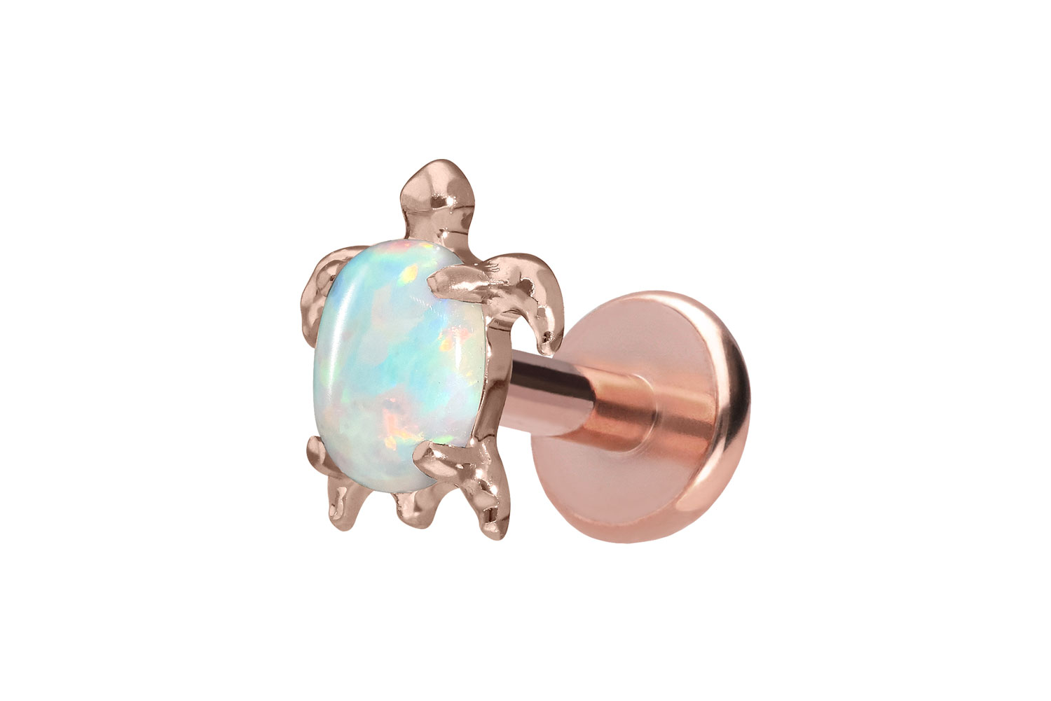 Titan Labret Piercing mit Push Fit SCHILDKRÖTE